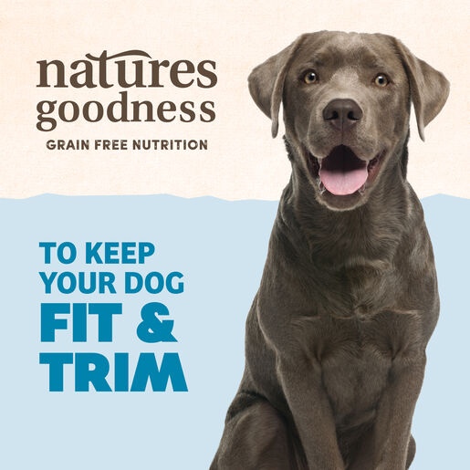 Natures Goodness Grain Free Fit & Trim with Kangaroo and Garden Vegetables Adult Wet Dog Food 400g