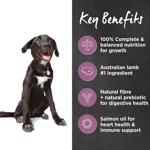 Ivory Coat Lamb & Brown Rice Dry Puppy Food 2.5kg Real Pet Food Company