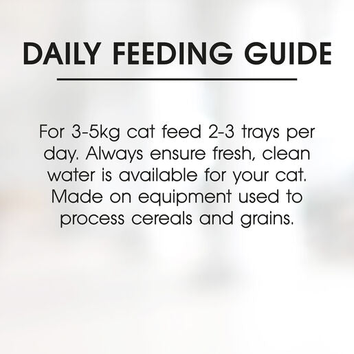 Fussy Cat Grain Free Beef and Kangaroo with Sweet Potato Wet Cat Food 85g
